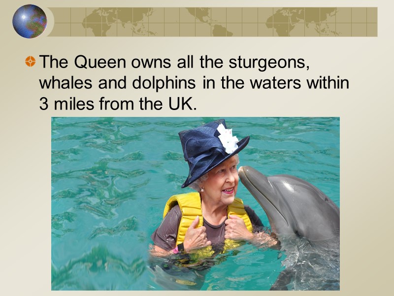 The Queen owns all the sturgeons, whales and dolphins in the waters within 3
